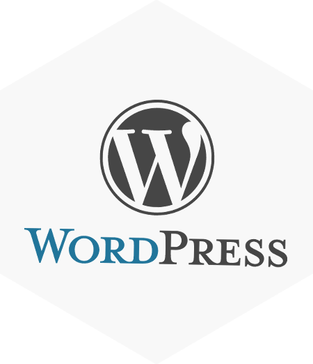 Brisbane Services - WordPress Website Developer and Designer